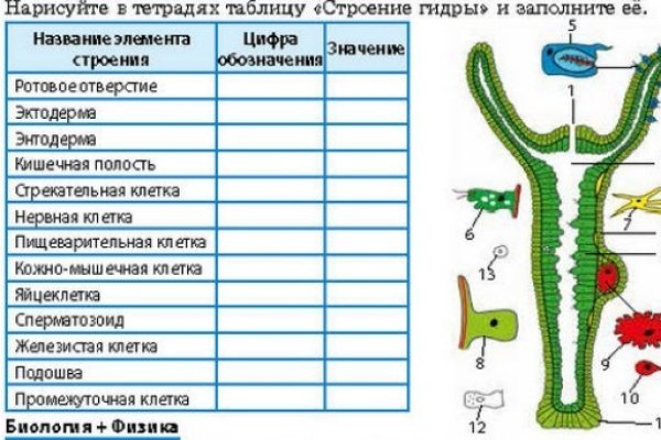 Kraken площадка